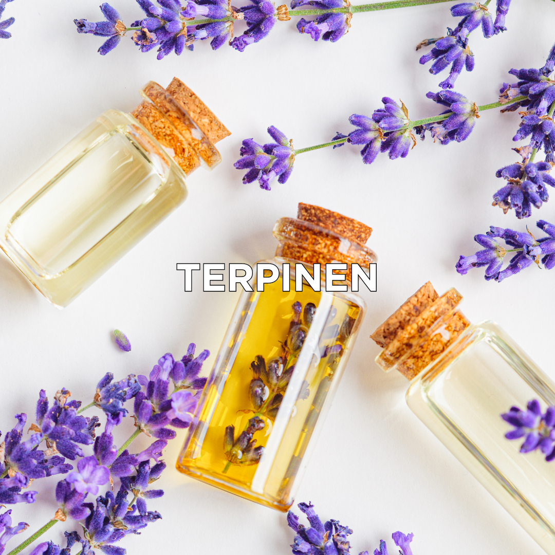 Terpinen w kosmetykach do tatuażu | Loveink