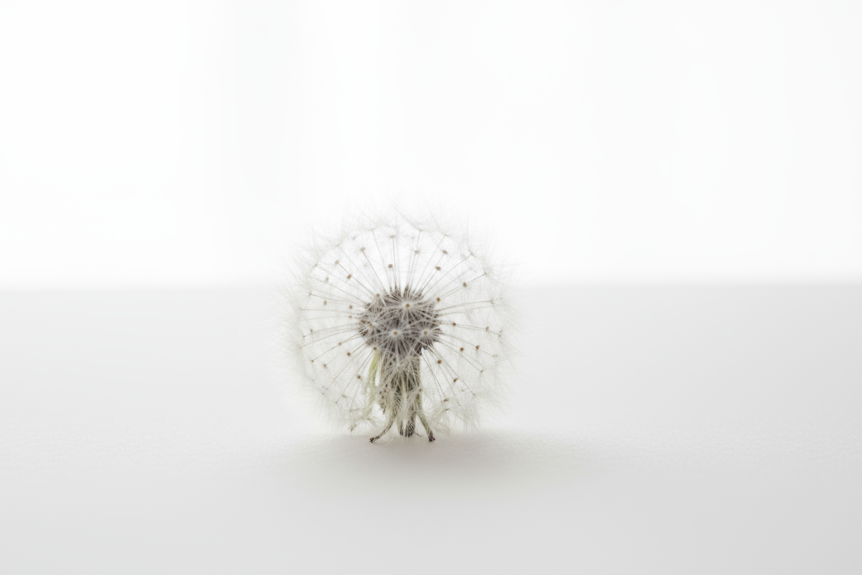 dmuchawiec w wersji bardzo delikatnej