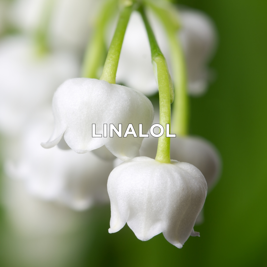 Linalool